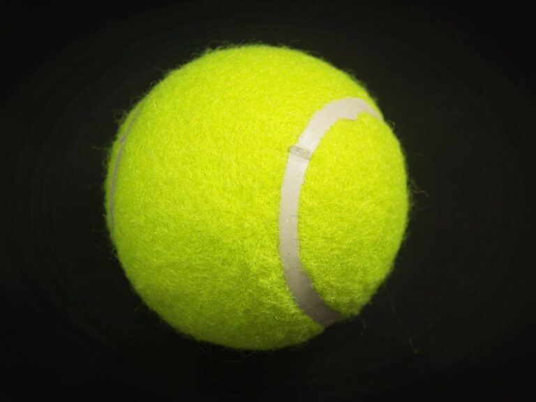 pickleball indoor balls