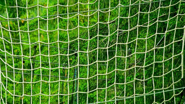 pickleball net for beginners