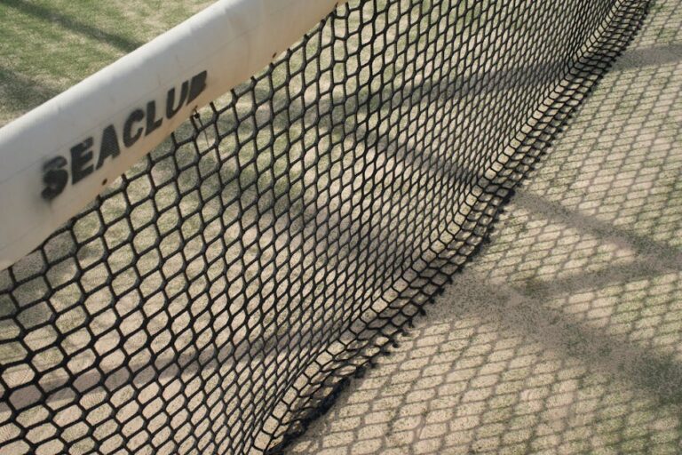 beginner pickleball net height