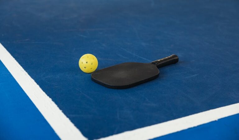 pickle ball paddle for beginners
