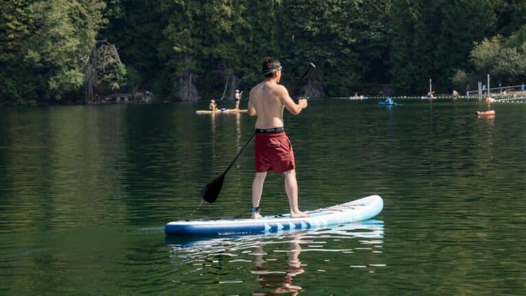best professional pickleball paddle
